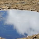 IMG_20230704_100129